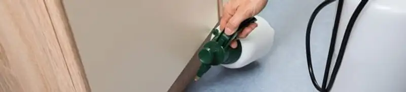 Bed bug exterminator treating baseboards and cracks with targeted spray in Seattle, WA