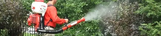 Mosquito control technician fogging shrubs and landscaping for mosquito treatment in Seattle, WA