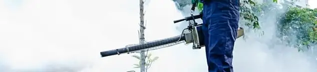 Pest control technician fogging an outdoor area for insect control in Seattle, WA
