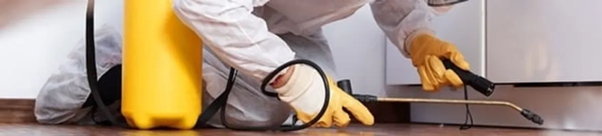 Roach exterminator treating cracks and crevices along kitchen baseboards in Seattle, WA