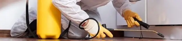Roach exterminator treating cracks and crevices along kitchen baseboards in Seattle, WA