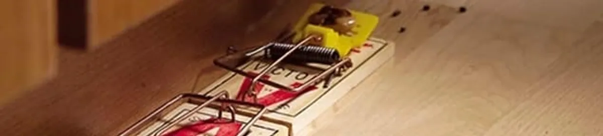 Rodent trap set indoors for rodent control and prevention in Seattle, WA