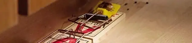 Rodent trap set indoors for rodent control and prevention in Seattle, WA