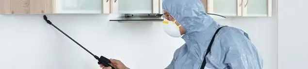 Termite treatment technician applying indoor pest control spray in Seattle, WA
